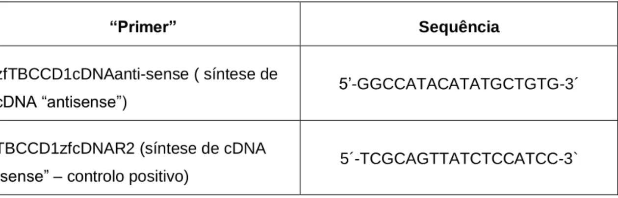 Tabela II.4| Sequência dos “primers” usados na síntese de cDNA 