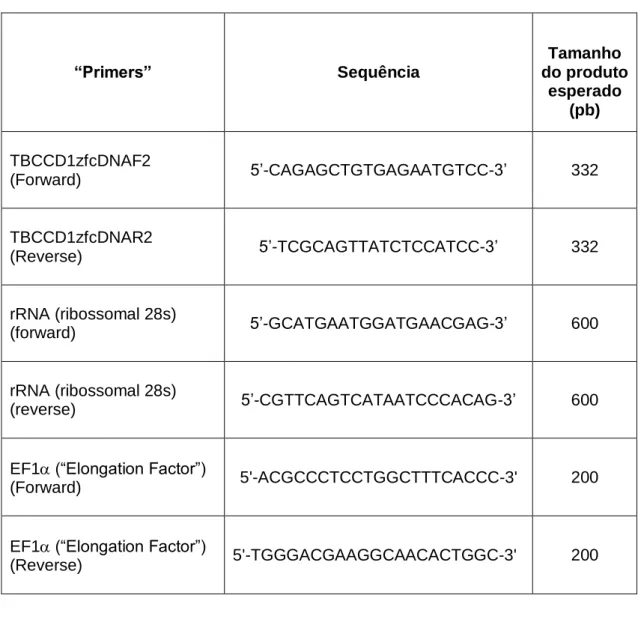 Tabela II.5| &#34;Primers&#34; usados na análise do gene tbccd1 por PCR 