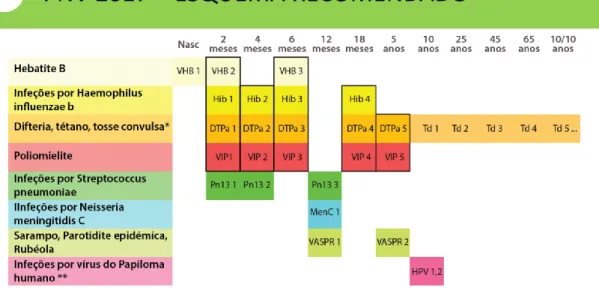 Figura 18.  Esquema Recomendado pelo PNV em 2017. 