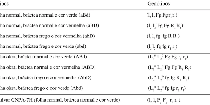 Tabela 1 - Descrição fenotípica e genotípica de linhagens mutantes morfológicas de algodoeiro herbáceo e da cultivar CNPA-7H.