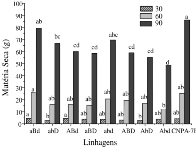 Figura 2 - Matéria seca aos 30, 60 e 90 DAP em linhagens mutantes de algodoeiro herbáceo e a cultivar CNPA-7H