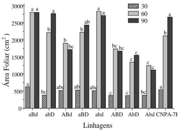 Figura 3 - Área foliar em linhagens mutantes de algodoeiro herbáceo e a cultivar CNPA-7H 30, 60 e 90 DAP