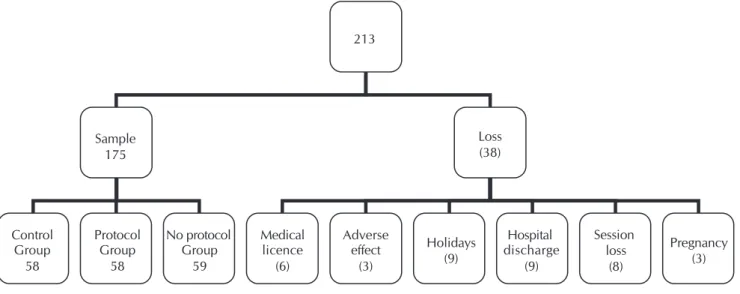 Figure 1 - Flowchart of the research subjects, Sao Paulo, 2013