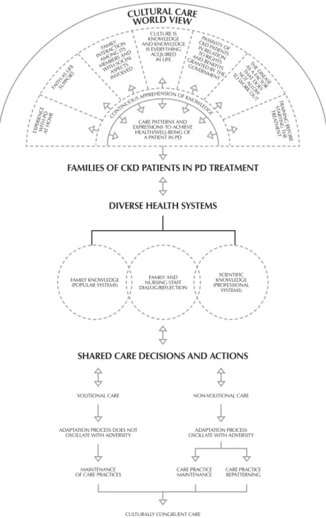 Figure 1 – Family care model for chronic kidney disease patient in peritoneal di- di-alysis treatment