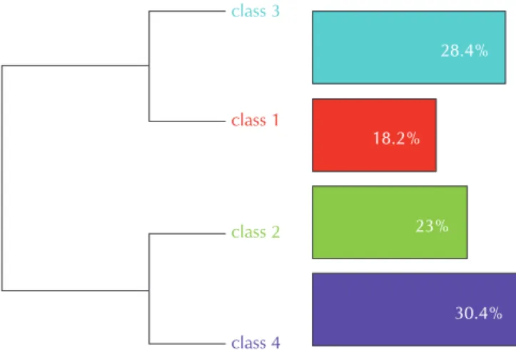 Figure 1 – Descending Hierarchical Classification dendrogram 