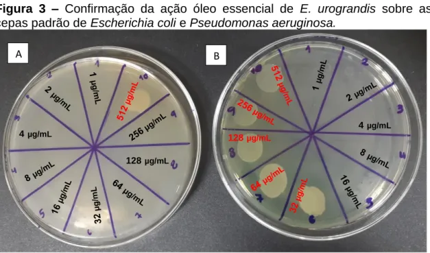 Figura  3  –  Confirmação  da  ação  óleo  essencial  de  E.  urograndis  sobre  as  cepas padrão de Escherichia coli e Pseudomonas aeruginosa