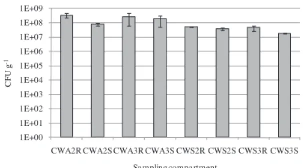 Fig. 2 e Bacterial enumeration analyzed by plate counts, in nutrient agar medium, expressed in CFU g L1 for substrate (S) and plant roots (R) of constructed wetlands (CW) series.