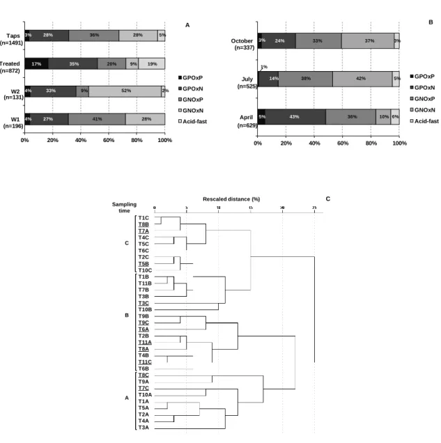Figure 3.3. Cultivable bacterial diversity in the different types of water (A), and in household taps  in the different sampling dates (B)