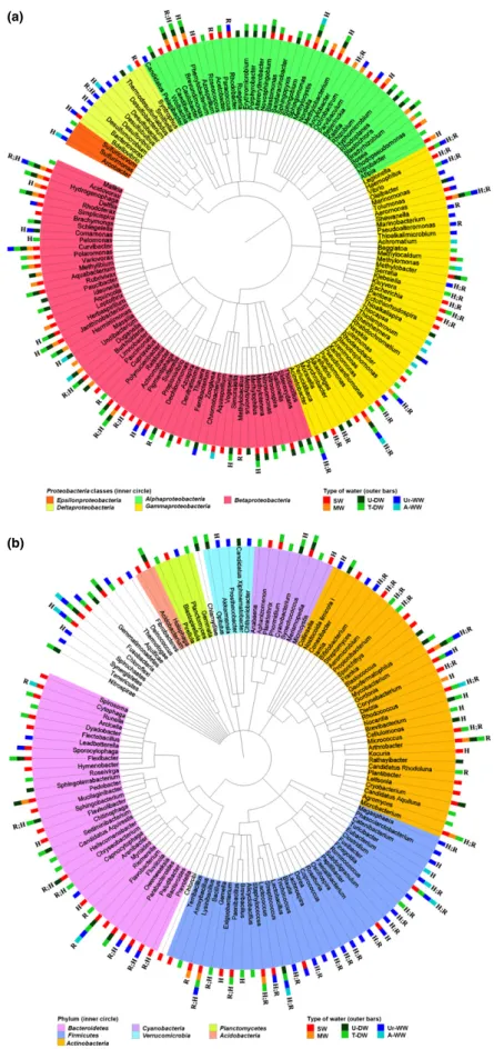 Fig. 1. Dendrogram representations of the bacterial diversity [(a) Proteobacteria classes and (b) other phyla] observed in different types of water, occurrence in the  human-associated microbiome (H) and previous description of antibiotic resistance genes 
