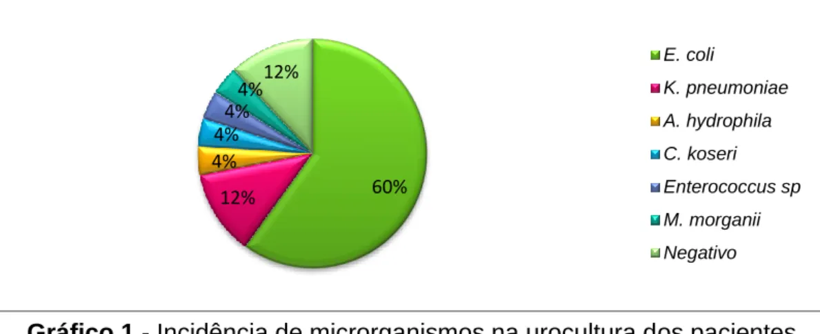 Gráfico 1 - Incidência de microrganismos na urocultura dos pacientes  estudados. 