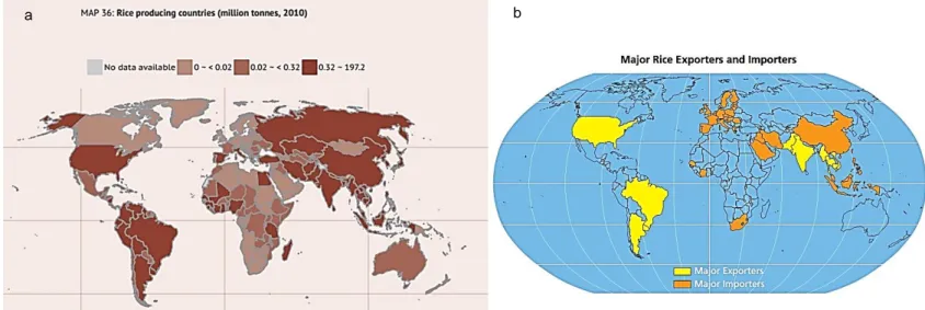 Figura 1 – Lado esquerdo: comparação dos valores de produção mundial de arroz em casca nas campanhas 2017/18, 2018/19 e 2019/20 (segundo previsões)  com os países asiáticos e sul americanos com maior relevância e EU (adaptado de AMIS  – Supply and Demand)