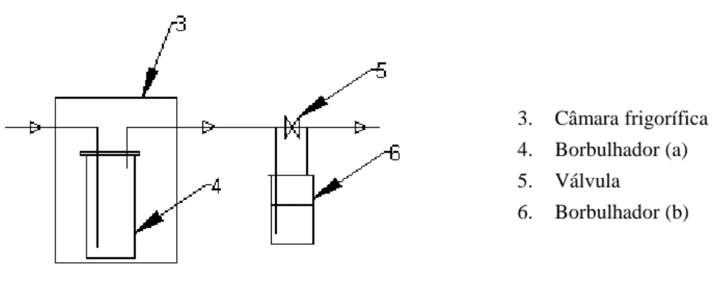 Figura 3.8 Representação esquemática do borbulhador (a) e (b) inseridos na instalação