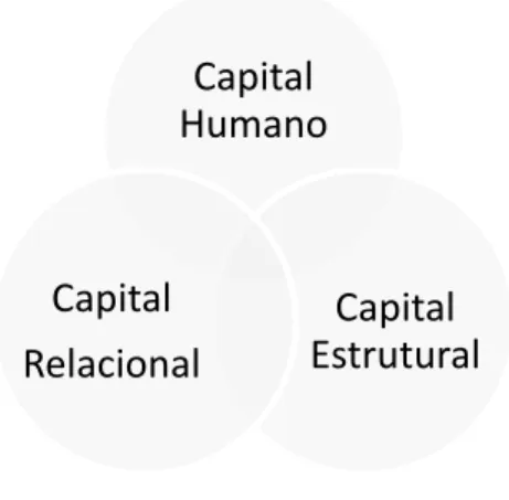 Figura 1: Interação dos componentes do capital intelectual.  