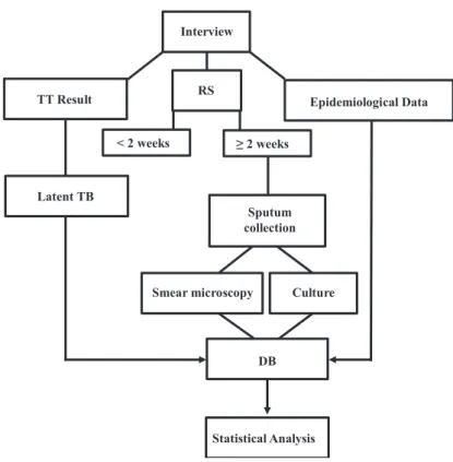 Figure 2 – Data collection flow chart