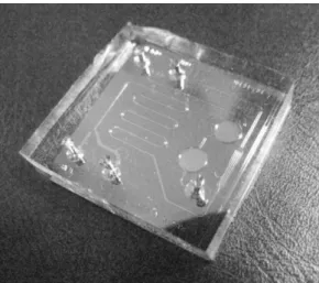 Figure 8 - Microfluidic test strip (Fontanazza, 2016).  Figure 9 - A series of silicon-glass based microfluidic  chip  was  designed  and  fabricated  by  conventional  MEMS technology (Hungarian Academy of Sciences,  2016)