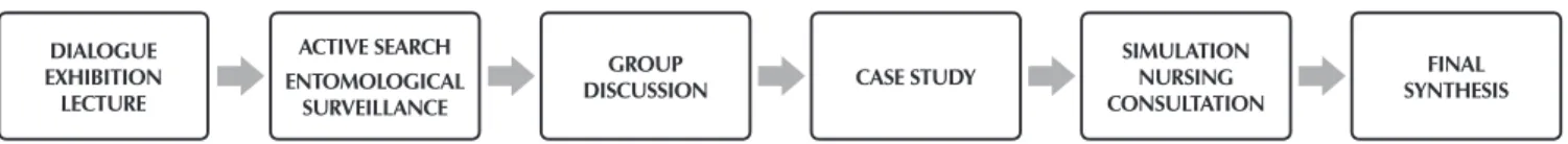 Figure 1 –  Flow of practical activities developed in the Institutions and in the Nursing Skills Laboratory, São Paulo, Brazil, 2016 