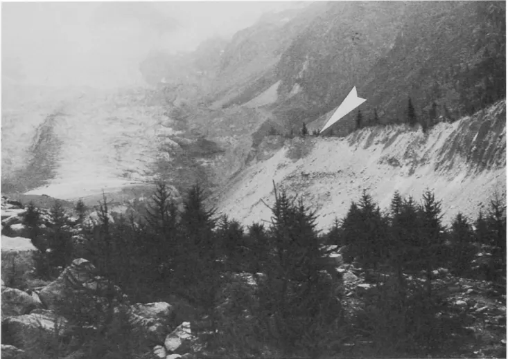 Abb. 5 Blick in das Vorfeld des Riedgletschers. Der Kamm des orographisch linken Ufermoränenwalls (rechts im Bild) ist von alten Lärchen besiedelt