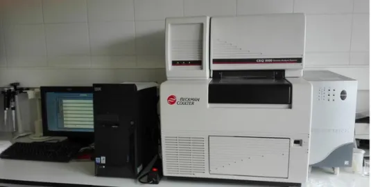 Figura 3 - Sequenciador automático CEQTM 8000 Genetic Analysis System