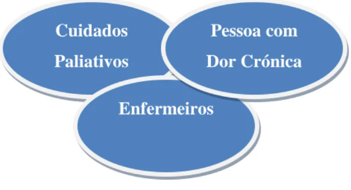 Figura  Nº  2  –  Eixos  Fundamentais  na  Intervenção  do  Enfermeiro  de  Cuidados  Continuados  perante  a  Dor  Crónica  do  Doente Paliativo 