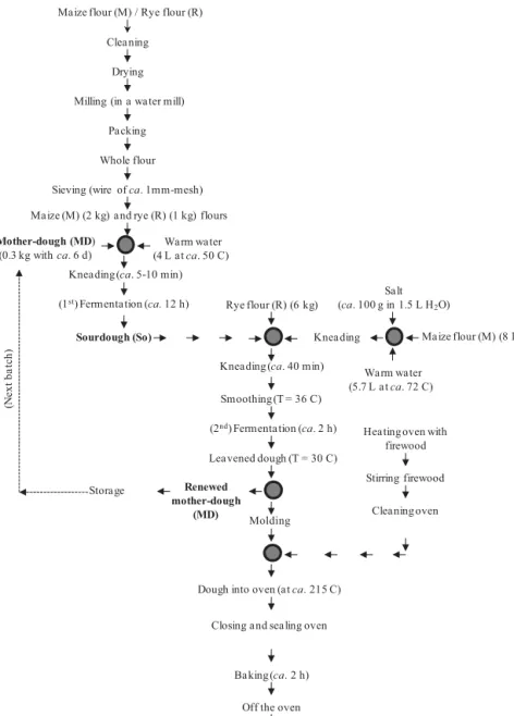 FIG. 1. FLOWCHART OF THE CLASSICAL PRO- PRO-TOCOL FOR BREADMAKING OF BROA (AND SPECIFIC CONDITIONS EMPLOYED IN LOCO BY THE FARMER FROM CABECEIRAS DE BASTO)