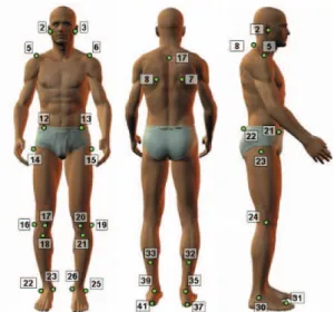 Figure 1. Bony landmarks used by the protocol of the SAPO  software. Anterior view: 2, 3 right and left tragus; 5, 6 right and  left acromion; 12, 13 right and left anterior superior iliac spine; 