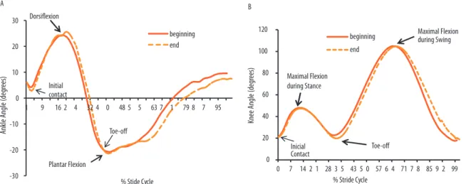 Figure 1. Angular values for ankle (A) and knee (B) along the stride cycle at the beginning and the end of the test.