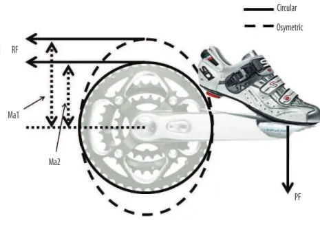 Figure 1. Illustration of the theoretical design of a noncircular chainring (Osymetric noncircular chainring)  devised to increase the moment arm at the 12 o’clock position