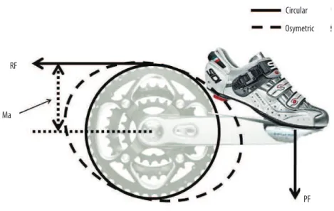 Figure 2 .  Illustration of the Biopace noncircular chainring devised to increase the moment arm close to the 3  o’clock position