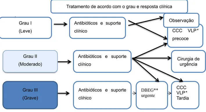 Figura 1- Diagnóstico e Avaliação da Gravidade pelas Diretrizes do TG-18  Fonte: ADAPTADO DE TOKYO GUIDELINES 2018 