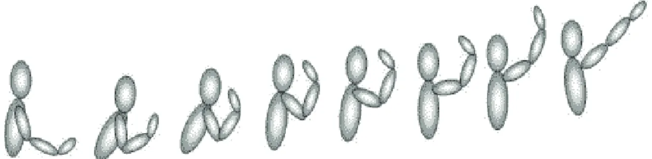 Figure 1. Expected behavior for performing shots. 