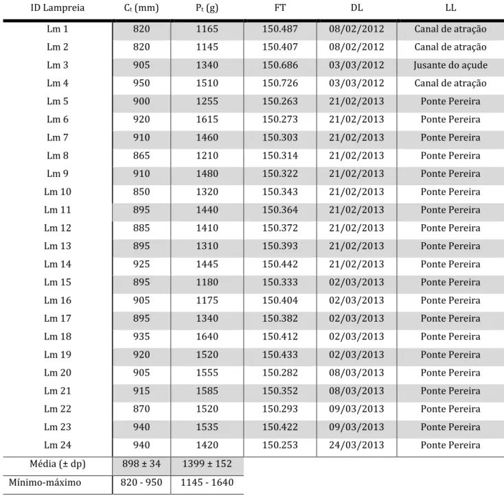 Tabela 4: Tabela resumo com a Informação dos espécimes de lampreia-marinha capturados e marcados  com rádio- transmissores em 2012-2013, respetivo comprimento total médio - C t  (± dp), peso total médio  P t  (± dp), e respetivo máximo e mínimo da amostra
