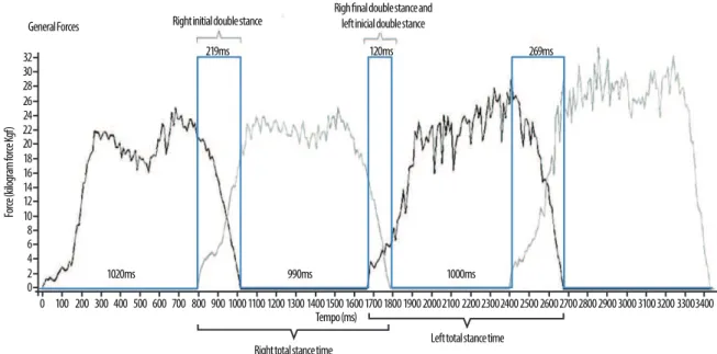 Figure 1. Schematic representation of the image generated by the FootWorkPro software, version 3.2.0.1, used for the analysis of stance time.