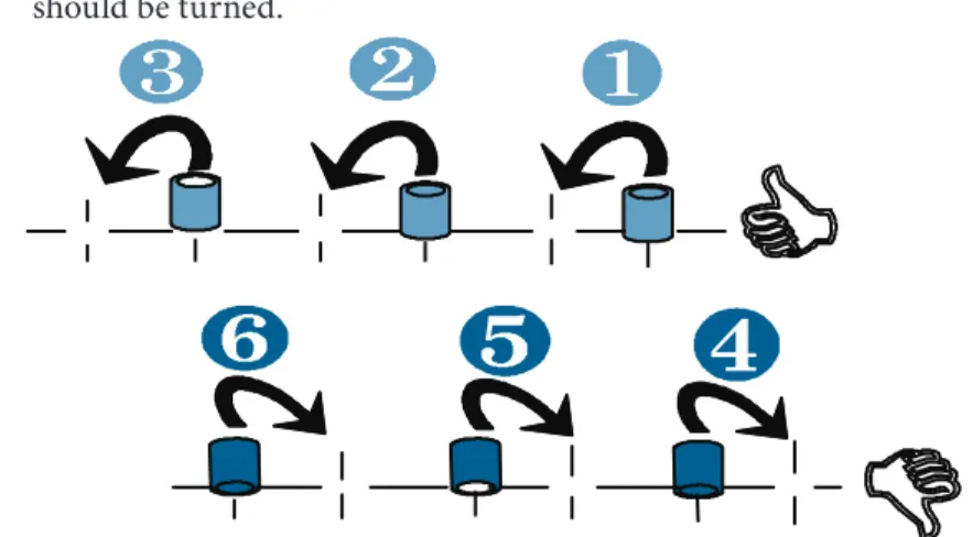 Figure 3. Schematic drawing of the coordination test (Zago and Gobbi, 2003).