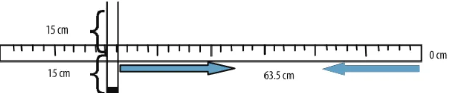 Figure 4. Schematic drawing of the lexibility test (Zago and Gobbi, 2003).