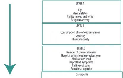 Figure 1. Conceptual model of outcome determination used for multiple analysis. Lafaiete Coutinho, Brazil, 2011.