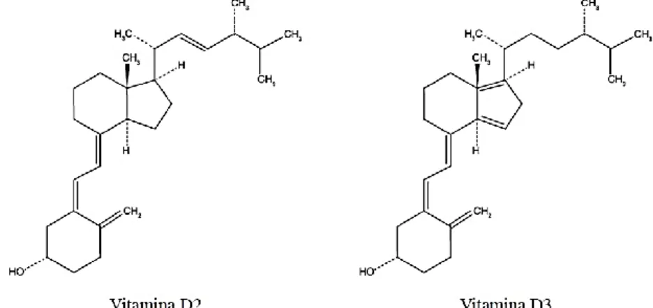 Figura  5- Estrutura  química  do ergocalciferol  (vitamina  D2)  e  do  colecalciferol  (vitamina D3)