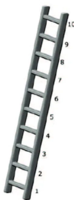 Figure 1. MacArthur Subjective Social Status Scale Version for Young People 18 .