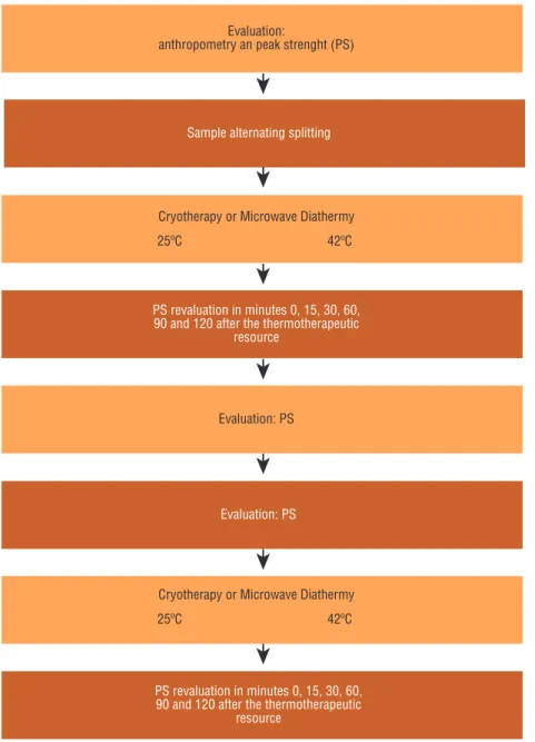 Figure 2. Flowchart of the study design
