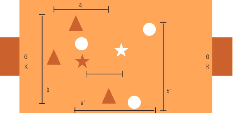 Figure 1. Variables analyzed. Triangles and circles: playing teams; stars: average point (centroid)  of the two teams; a and a’: measures of length; b and b’: measures of width; x: centroid distance; 
