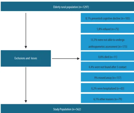 Figure 1. Study population composition.