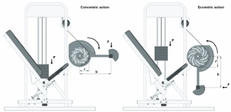 Figure 3. Force values for the concentric (CON) and eccentric (ECC) actions during the control  (CO) and eccentric overload (EO) protocols, mean ± standard deviation (n = 15)