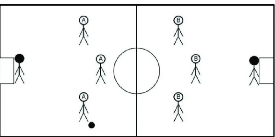 Figure 1. Illustrative image with the structural organization of the FUT-SAT 11.