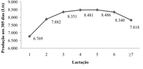 Figura 3 – Produção média acumulada aos 305 dias por Lactação.