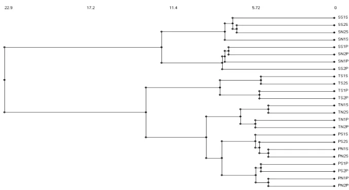 Fig. 4.— Cluster analysis of the species composition of arthropods from twelve sites. Each site is represented by four symbols in which the first symbol refers to island (S – S