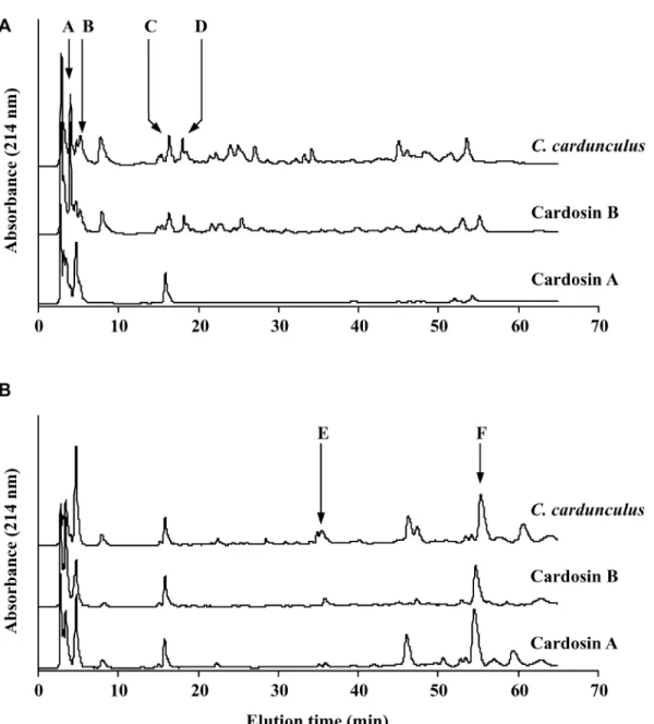 Figure 1. Reversed-phase HPLC chromatograms of the 3,000-Da permeate of water-soluble extracts of (A) raw and (B) sterilized ovine cheeselike systems, manufactured separately with cardosin A, cardosin B, or a crude aqueous extract of Cynara cardunculus