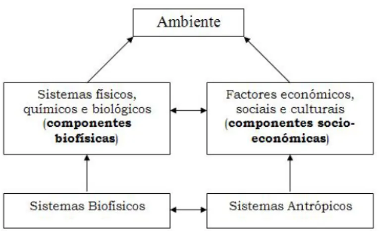 Figura 1 – O ambiente na perspectiva sistémica (Fonte: Pereira, 2002) 
