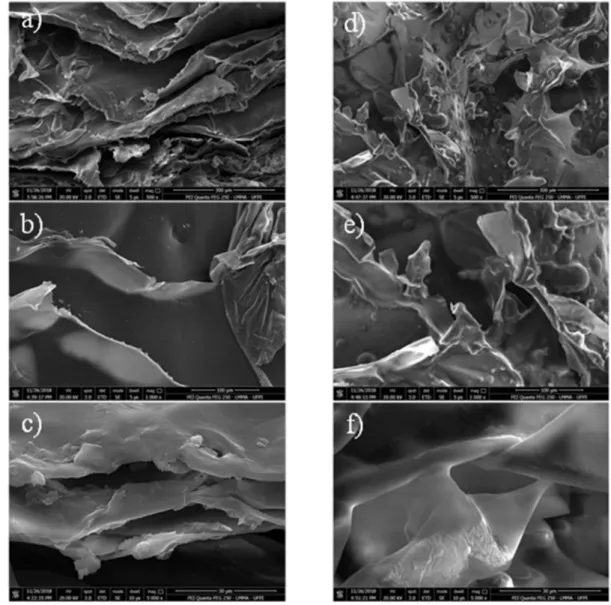 Figure 3 showed the micrograph images of the synthesized materials after lyophilized, with three images (different magnifications) related to the chitosan gel (a–c) and the other three (d–f) referring to the chitosan gel with buriti oil
