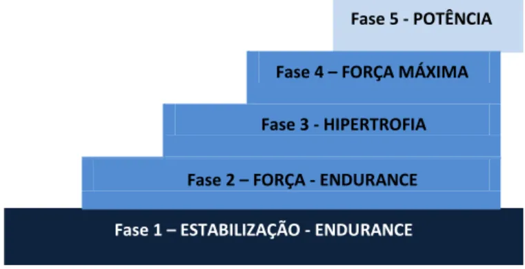 Ilustração 4 - Modelo Optimum Performance Training (Adaptado de NASM, 2012) 