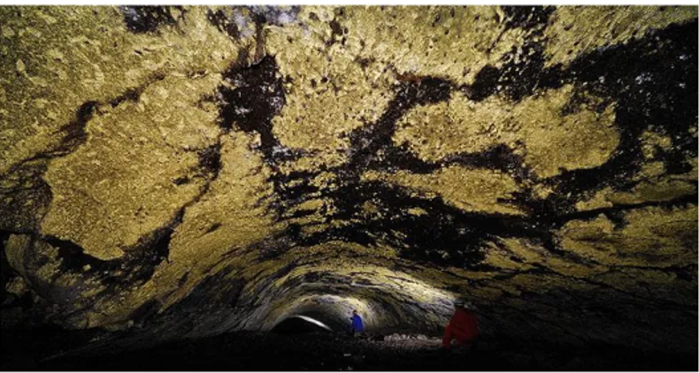 Figura 5. Grandes extensões de biofilmes formando tapetes microbianos na gruta Terra Mole   (Fotografia cedida por Pedro Cardoso) 