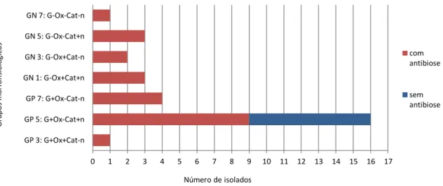 Figura 10. Actividade antimicrobiana de isolados obtidos a partir de tubos lávicos (Branca Opala e Terra Mole) e fumarolas da Ilha  Terceira, Açores, segundo cada grupo morfofisiológico